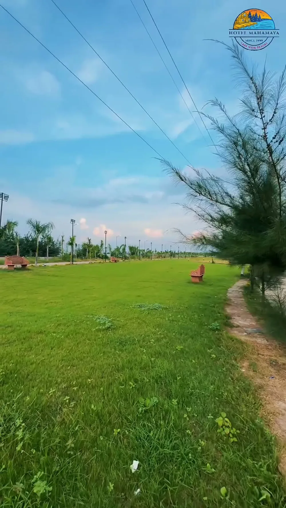Open lawns